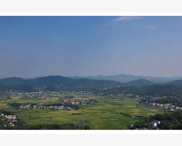 有痰清肺，最好用什么药？探究中医的智慧